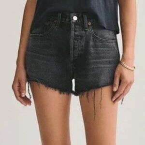 AGOLDE- Parker Shorts in Crash- NWT- 27